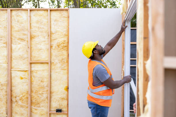 Best Insulation for New Construction  in Elgin, IL